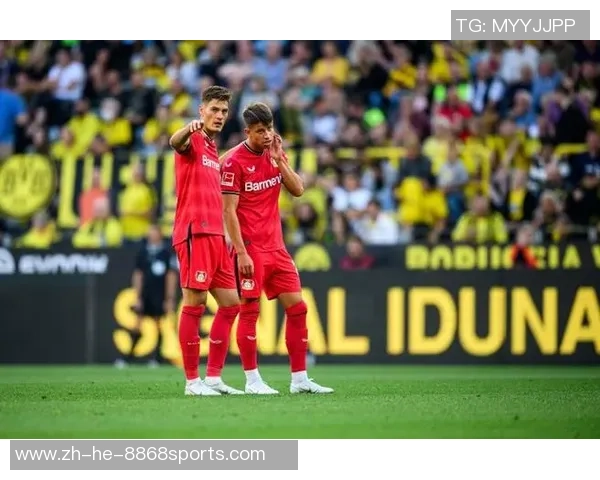 德甲激战霍芬海姆迎战勒沃库森队争夺宝贵积分 德甲激战霍芬海姆迎战勒沃库森队争夺宝贵积分